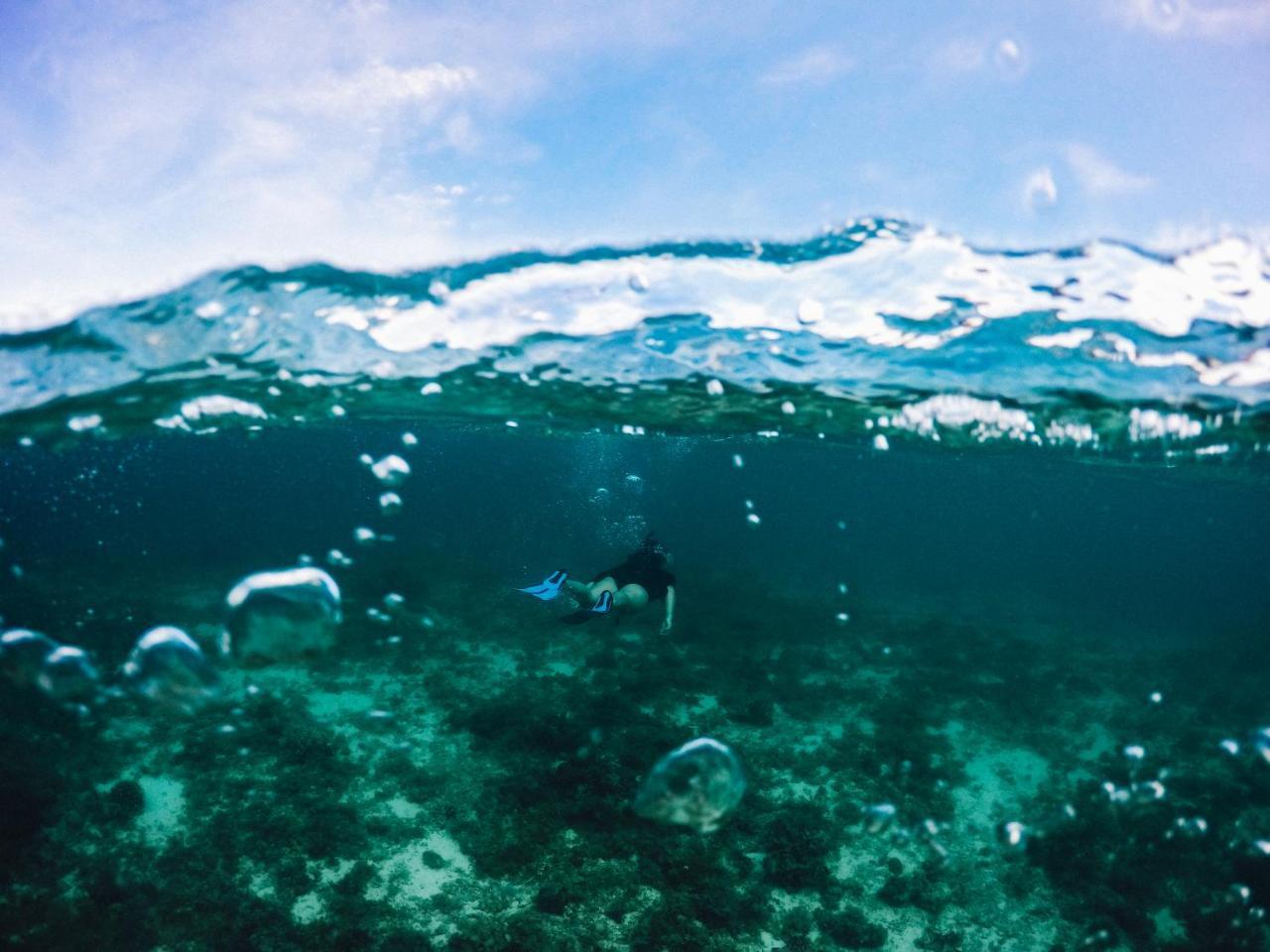 龟湾潜水度假酒店 莫阿尔博阿 外观 照片